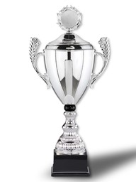 Zeige Details für Pokal SIEGER Bild von Pokal SIEGER